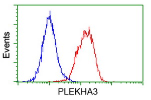 PLEKHA3 Antibody - Flow cytometry of HeLa cells, using anti-PLEKHA3 antibody (Red), compared to a nonspecific negative control antibody (Blue).