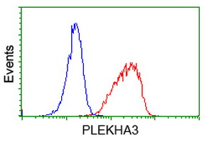 PLEKHA3 Antibody - Flow cytometry of Jurkat cells, using anti-PLEKHA3 antibody (Red), compared to a nonspecific negative control antibody (Blue).