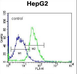 PLEKHH1 Antibody - PLEKHH1 Antibody flow cytometry of K562 cells (right histogram) compared to a negative control cell (left histogram). FITC-conjugated donkey-anti-rabbit secondary antibodies were used for the analysis.