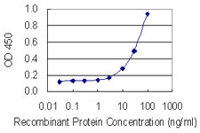 PLG / Plasmin / Plasminogen Antibody - Detection limit for recombinant GST tagged PLG is 1 ng/ml as a capture antibody.