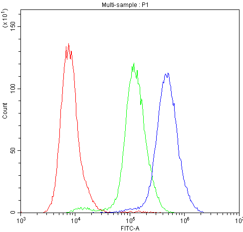 PLIN1 / Perilipin Antibody - Flow Cytometry analysis of A431 cells using anti-Perilipin A antibody. Overlay histogram showing A431 cells stained with anti-Perilipin A antibody (Blue line). The cells were blocked with 10% normal goat serum. And then incubated with rabbit anti-Perilipin A Antibody (1µg/10E6 cells) for 30 min at 20°C. DyLight®488 conjugated goat anti-rabbit IgG (5-10µg/10E6 cells) was used as secondary antibody for 30 minutes at 20°C. Isotype control antibody (Green line) was rabbit IgG (1µg/10E6 cells) used under the same conditions. Unlabelled sample (Red line) was also used as a control.