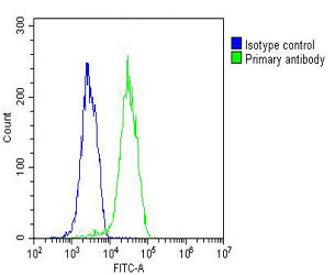 PLIN3 / M6PRBP1 / TIP47 Antibody - Overlay histogram showing HUVEC cells stained with PLIN3 Antibody (green line). The cells were fixed with 2% paraformaldehyde (10 min) and then permeabilized with 90% methanol for 10 min. The cells were then icubated in 2% bovine serum albumin to block non-specific protein-protein interactions followed by the antibody (PLIN3 Antibody, 1:25 dilution) for 60 min at 37°C. The secondary antibody used was Goat-Anti-Mouse IgG, DyLight® 488 Conjugated Highly Cross-Adsorbed (OJ192088) at 1/200 dilution for 40 min at 37°C. Isotype control antibody (blue line) was mouse IgG1 (1µg/1x10^6 cells) used under the same conditions. Acquisition of >10, 000 events was performed.
