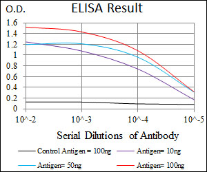 PLK1 / PLK-1 Antibody - Red: Control Antigen (100ng); Purple: Antigen (10ng); Green: Antigen (50ng); Blue: Antigen (100ng);