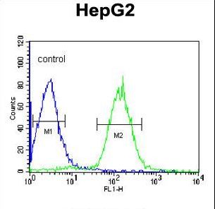 PLTP Antibody - PLTP Antibody flow cytometry of HepG2 cells (right histogram) compared to a negative control cell (left histogram). FITC-conjugated goat-anti-rabbit secondary antibodies were used for the analysis.