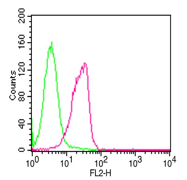 PMAIP1 / NOXA Antibody - Fig-1: FLOW analysis of NOXA. Intercellular staining of Jurkat cells. Green represents mouse IgG1 Isotype control. Red represents Anti-NOXA antibody. 0.5 ug of antibody was used. Goat anti-mouse PE was used as secondary antibody.