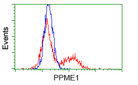 PME-1 / PPME1 Antibody - HEK293T cells transfected with either pCMV6-ENTRY PPME1 (Red) or empty vector control plasmid (Blue) were immunostained with anti-PPME1 mouse monoclonal(Dilution 1:1,000), and then analyzed by flow cytometry.