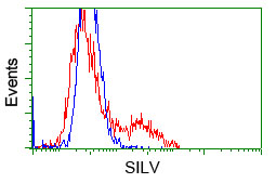 PMEL / SILV / gp100 Antibody - HEK293T cells transfected with either pCMV6-ENTRY SILV (Red) or empty vector control plasmid (Blue) were immunostained with anti-SILV mouse monoclonal(Dilution 1:1,000), and then analyzed by flow cytometry.