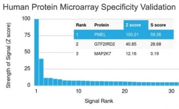 PMEL / SILV / gp100 Antibody - Analysis of HuProt(TM) microarray containing more than 19,000 full-length human proteins using PMEL17 antibody (clone PMEL/2037). These results demonstrate the foremost specificity of the PMEL/2037 mAb. Z- and S- score: The Z-score represents the strength of a signal that an antibody (in combination with a fluorescently-tagged anti-IgG secondary Ab) produces when binding to a particular protein on the HuProt(TM) array. Z-scores are described in units of standard deviations (SDs) above the mean value of all signals generated on that array. If the targets on the HuProt(TM) are arranged in descending order of the Z-score, the S-score is the difference (also in units of SDs) between the Z-scores. The S-score therefore represents the relative target specificity of an Ab to its intended target.