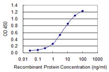 PMFBP1 Antibody - Detection limit for recombinant GST tagged PMFBP1 is 0.1 ng/ml as a capture antibody.
