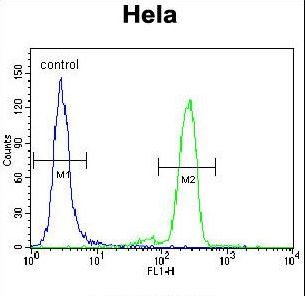 PML Antibody - PML Sumoylation Site Antibody flow cytometry of HeLa cells (right histogram) compared to a negative control cell (left histogram). FITC-conjugated goat-anti-rabbit secondary antibodies were used for the analysis.