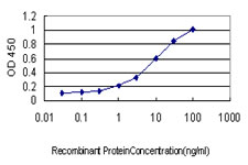 PML Antibody - Detection limit for recombinant GST tagged PML is approximately 0.3 ng/ml as a capture antibody.
