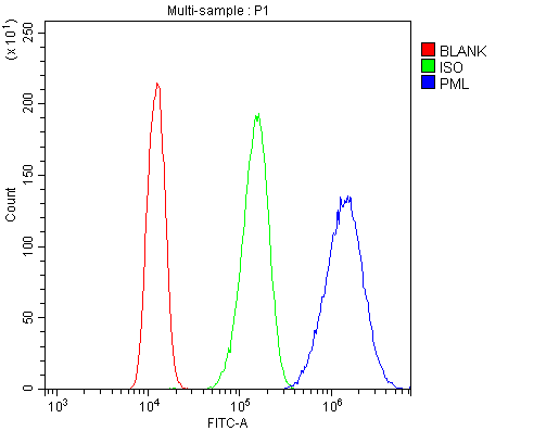 PML Antibody - Flow Cytometry analysis of A431 cells using anti-PML antibody. Overlay histogram showing A431 cells stained with anti-PML antibody (Blue line). The cells were blocked with 10% normal goat serum. And then incubated with rabbit anti-PML Antibody (1µg/10E6 cells) for 30 min at 20°C. DyLight®488 conjugated goat anti-rabbit IgG (5-10µg/10E6 cells) was used as secondary antibody for 30 minutes at 20°C. Isotype control antibody (Green line) was rabbit IgG (1µg/10E6 cells) used under the same conditions. Unlabelled sample (Red line) was also used as a control.