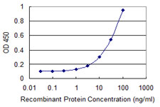 PMP70 Antibody - Detection limit for recombinant GST tagged ABCD3 is 1 ng/ml as a capture antibody.