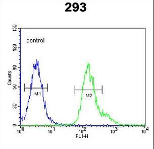 PMPCB / MPP11 Antibody - PMPCB Antibody flow cytometry of 293 cells (right histogram) compared to a negative control cell (left histogram). FITC-conjugated goat-anti-rabbit secondary antibodies were used for the analysis.