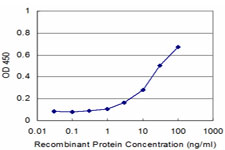 PNMA2 / MA2 Antibody - Detection limit for recombinant GST tagged PNMA2 is approximately 1 ng/ml as a capture antibody.