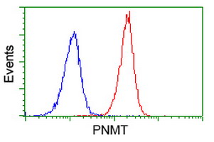 PNMT Antibody - Flow cytometry of Jurkat cells, using anti-PNMT antibody (Red), compared to a nonspecific negative control antibody (Blue).