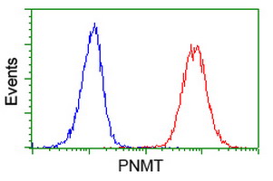 PNMT Antibody - Flow cytometry of Jurkat cells, using anti-PNMT antibody (Red), compared to a nonspecific negative control antibody (Blue).