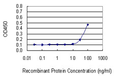 PNP / Nucleoside Phosphorylase Antibody - Detection limit for recombinant GST tagged NP is 10 ng/ml as a capture antibody.