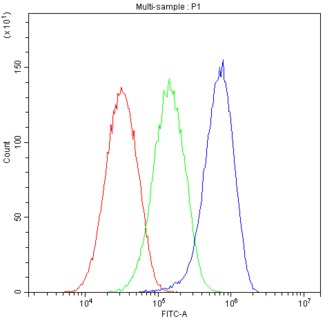 PNP / Nucleoside Phosphorylase Antibody - Flow Cytometry analysis of HEPG2 cells using anti-Human PNP antibody. Overlay histogram showing HEPG2 cells stained with anti-Human PNP antibody (Blue line). The cells were blocked with 10% normal goat serum. And then incubated with rabbit anti-Human PNP Antibody (1µg/10E6 cells) for 30 min at 20°C. DyLight®488 conjugated goat anti-rabbit IgG (5-10µg/10E6 cells) was used as secondary antibody for 30 minutes at 20°C. Isotype control antibody (Green line) was rabbit IgG (1µg/10E6 cells) used under the same conditions. Unlabelled sample (Red line) was also used as a control.