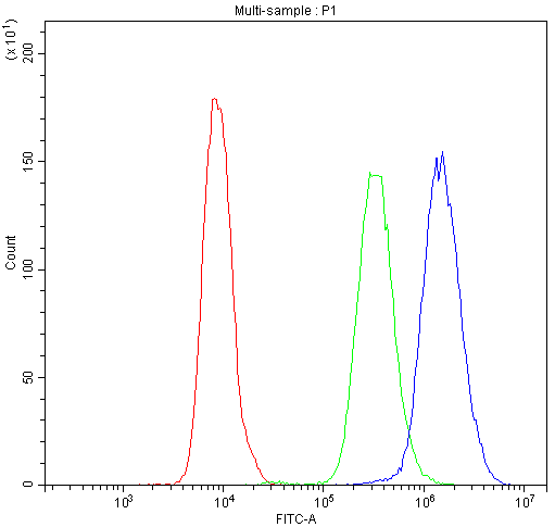 PNP / Nucleoside Phosphorylase Antibody - Flow Cytometry analysis of U937 cells using anti-PNP antibody. Overlay histogram showing U937 cells stained with anti-PNP antibody (Blue line). The cells were blocked with 10% normal goat serum. And then incubated with rabbit anti-PNP Antibody (1µg/10E6 cells) for 30 min at 20°C. DyLight®488 conjugated goat anti-rabbit IgG (5-10µg/10E6 cells) was used as secondary antibody for 30 minutes at 20°C. Isotype control antibody (Green line) was rabbit IgG (1µg/10E6 cells) used under the same conditions. Unlabelled sample (Red line) was also used as a control.