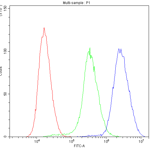 PNP / Nucleoside Phosphorylase Antibody - Flow Cytometry analysis of U251 cells using anti-PNP antibody. Overlay histogram showing U251 cells stained with anti-PNP antibody (Blue line). The cells were blocked with 10% normal goat serum. And then incubated with rabbit anti-PNP Antibody (1µg/10E6 cells) for 30 min at 20°C. DyLight®488 conjugated goat anti-rabbit IgG (5-10µg/10E6 cells) was used as secondary antibody for 30 minutes at 20°C. Isotype control antibody (Green line) was rabbit IgG (1µg/10E6 cells) used under the same conditions. Unlabelled sample (Red line) was also used as a control.