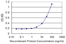 PNPLA6 / NTE Antibody - Detection limit for recombinant GST tagged PNPLA6 is 1 ng/ml as a capture antibody.