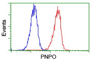 PNPO Antibody - Flow cytometry of Jurkat cells, using anti-PNPO antibody (Red), compared to a nonspecific negative control antibody (Blue).