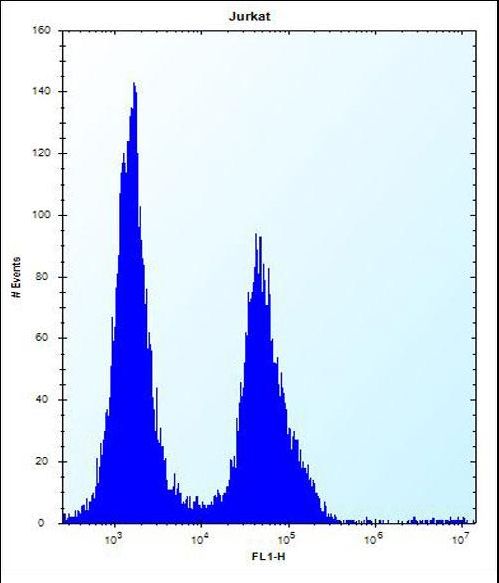 PODNL1 Antibody - PODNL1 Antibody flow cytometry of Jurkat cells (right histogram) compared to a negative control cell (left histogram). FITC-conjugated donkey-anti-rabbit secondary antibodies were used for the analysis.