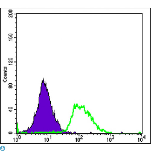 PODXL / Podocalyxin Antibody - Flow cytometric (FCM) analysis of HeLa cells using Podocalyxin-like 1 Monoclonal Antibody (green) and negative control (purple).