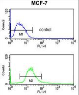 POLDIP2 / PDIP38 Antibody - POLDIP2 Antibody flow cytometry of MCF-7 cells (bottom histogram) compared to a negative control cell (top histogram). FITC-conjugated goat-anti-rabbit secondary antibodies were used for the analysis.