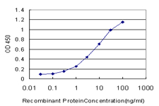 POLR1C / RPA39 Antibody - Detection limit for recombinant GST tagged POLR1C is approximately 0.3 ng/ml as a capture antibody.