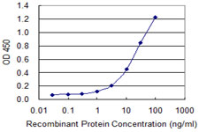 POLR2C Antibody - Detection limit for recombinant GST tagged POLR2C is 0.3 ng/ml as a capture antibody.