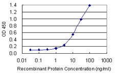 POLR2F Antibody - Detection limit for recombinant GST tagged POLR2F is 0.3 ng/ml as a capture antibody.