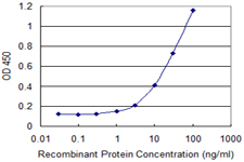 POLR2J Antibody - Detection limit for recombinant GST tagged POLR2J is 0.3 ng/ml as a capture antibody.