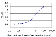 POLR3D Antibody - Detection limit for recombinant GST tagged POLR3D is approximately 0.3 ng/ml as a capture antibody.