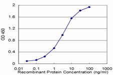 PON1 / ESA Antibody - Detection limit for recombinant GST tagged PON1 is approximately 0.03 ng/ml as a capture antibody.