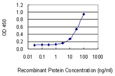 POU2F1 / OCT1 Antibody - Detection limit for recombinant GST tagged POU2F1 is 1 ng/ml as a capture antibody.
