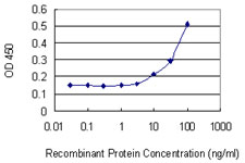 POU4F1 / BRN3A Antibody - Detection limit for recombinant GST tagged POU4F1 is 3 ng/ml as a capture antibody.
