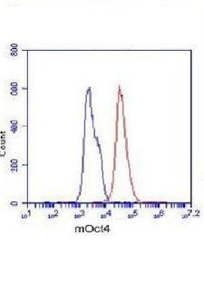 POU5F1 / OCT4 Antibody - Flow Cytometry analysis of F9 cells stained with Oct4 (red, 1/100 dilution), followed by FITC-conjugated goat anti-mouse IgG. Blue line histogram represents the isotype control, normal mouse IgG.