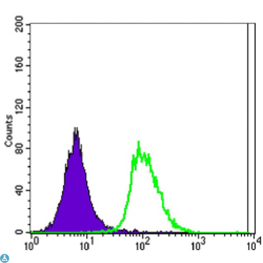 POU5F1 / OCT4 Antibody - Flow cytometric (FCM) analysis of Jurkat cells using Oct-3/4 Monoclonal Antibody (green) and negative control (purple).