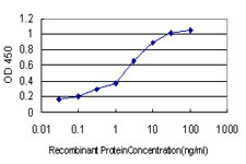 POU6F1 / BRN5 Antibody - Detection limit for recombinant GST tagged POU6F1 is approximately 0.03 ng/ml as a capture antibody.