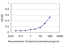 PPA1 Antibody - Detection limit for recombinant GST tagged PPA1 is approximately 1 ng/ml as a capture antibody.