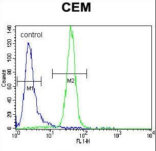 PPARA / PPAR Alpha Antibody - PPARA Antibody flow cytometry of CEM cells (right histogram) compared to a negative control cell (left histogram). FITC-conjugated goat-anti-rabbit secondary antibodies were used for the analysis.