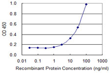 PPARA / PPAR Alpha Antibody - Detection limit for recombinant GST tagged PPARA is 1 ng/ml as a capture antibody.