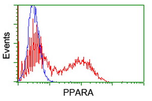 PPARA / PPAR Alpha Antibody - HEK293T cells transfected with either overexpress plasmid (Red) or empty vector control plasmid (Blue) were immunostained by anti-PPARA antibody, and then analyzed by flow cytometry.