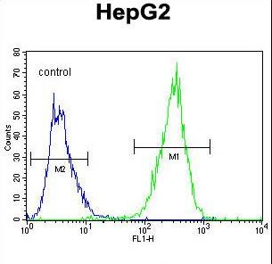 PPARD / PPAR Delta Antibody - PPARD Antibody flow cytometry of HepG2 cells (right histogram) compared to a negative control cell (left histogram). FITC-conjugated goat-anti-rabbit secondary antibodies were used for the analysis.