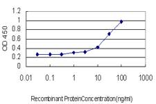 PPFIA4 Antibody - Detection limit for recombinant GST tagged PPFIA4 is approximately 1 ng/ml as a capture antibody.
