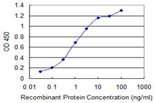PPFIBP2 Antibody - Detection limit for recombinant GST tagged PPFIBP2 is 0.03 ng/ml as a capture antibody.