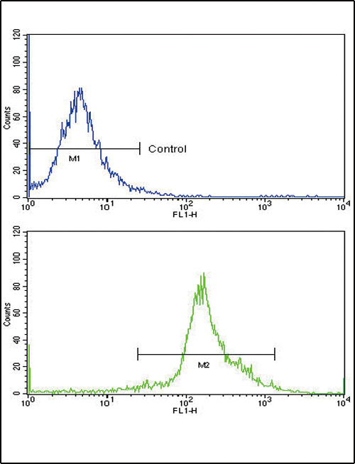 PPIA / Cyclophilin A Antibody - Flow cytometric of widr cells using PPIA Antibody (bottom histogram) compared to a negative control cell (top histogram)FITC-conjugated goat-anti-rabbit secondary antibodies were used for the analysis.