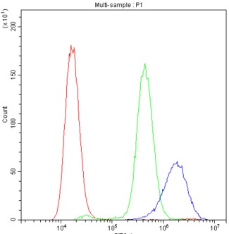 PPIA / Cyclophilin A Antibody - Flow Cytometry analysis of THP-1 cells using anti-PPIA antibody. Overlay histogram showing THP-1 cells stained with anti-PPIA antibody (Blue line). The cells were blocked with 10% normal goat serum. And then incubated with rabbit anti-PPIA Antibody (1µg/10E6 cells) for 30 min at 20°C. DyLight®488 conjugated goat anti-rabbit IgG (5-10µg/10E6 cells) was used as secondary antibody for 30 minutes at 20°C. Isotype control antibody (Green line) was rabbit IgG (1µg/10E6 cells) used under the same conditions. Unlabelled sample (Red line) was also used as a control.